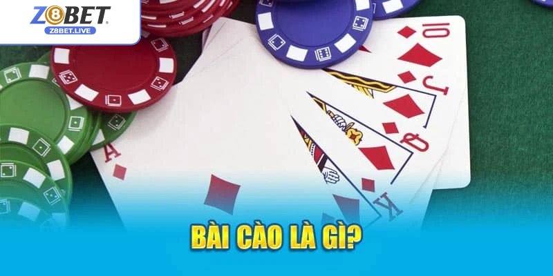 Tổng quan về bài cào