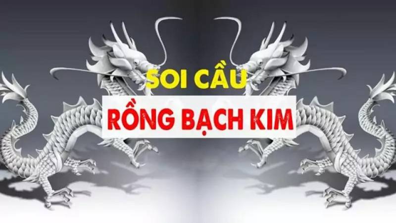 Soi Cầu Rồng Bạch Kim Là Gì? Cách Soi Nhanh Trúng Lớn Nuôi lô khung 2 ngày