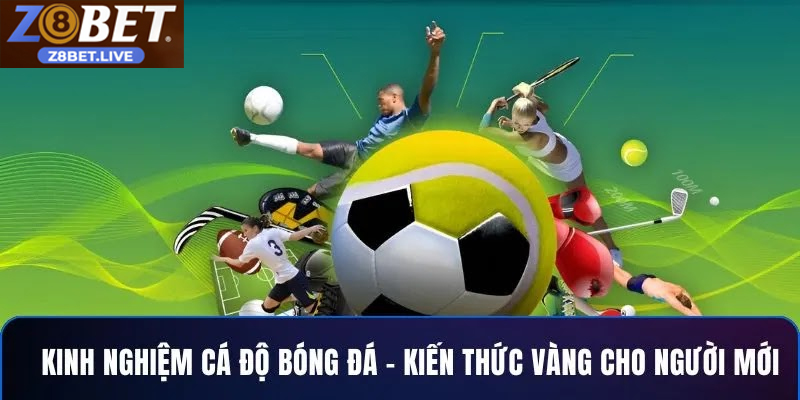 Khám Phá Nhà Cái Cá Độ Bóng Đá Online Z8BET Được Ưa Chuộng Trải nghiệm cá cược chuyên nghiệp tại nhà cái bóng đá online hàng đầu