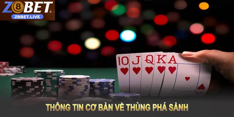 Tay Bài Quyền Lực Giá Trị Nhất Poker Z8BET – Thùng Phá Sảnh Xác suất ra thùng phá sảnh và mẹo tận dụng khi có tay bài mạnh