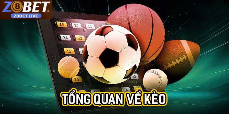 Khám Phá Trang Bóng Đá Uy Tín Z8BET Cho Tín Đồ Cá Cược Trang bóng đá uy tín cập nhật tỷ lệ kèo nhanh và chính xác