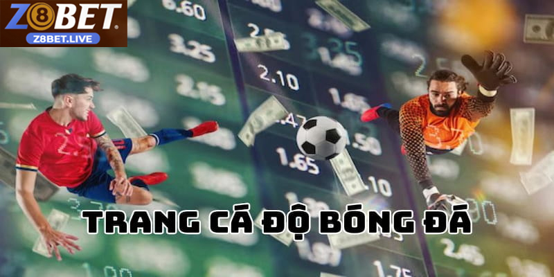 Trải Nghiệm Trang Cá Cược Bóng Đá Đỉnh Cao Cùng Tại Z8BET Trang cá cược bóng đá hỗ trợ người chơi đặt cược dễ dàng