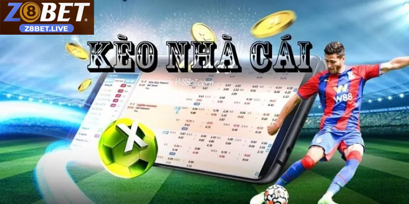 Tỷ Lệ Kèo Nhà Cái Z8BET – Cập Nhật Nhanh, Kèo Chuẩn Xác ty le keo nha cai 4